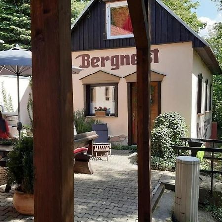 Bergnest Bungalow Bad Gottleuba-Berggiesshuebel ภายนอก รูปภาพ
