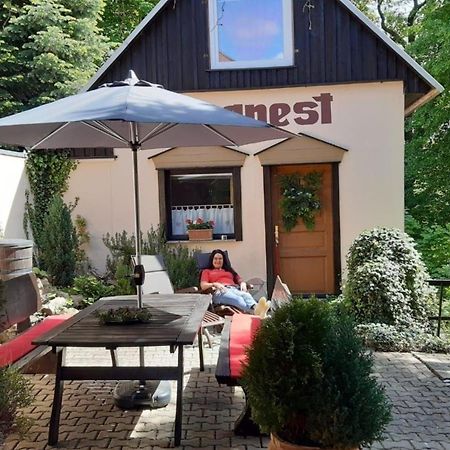 Bergnest Bungalow Bad Gottleuba-Berggiesshuebel ภายนอก รูปภาพ