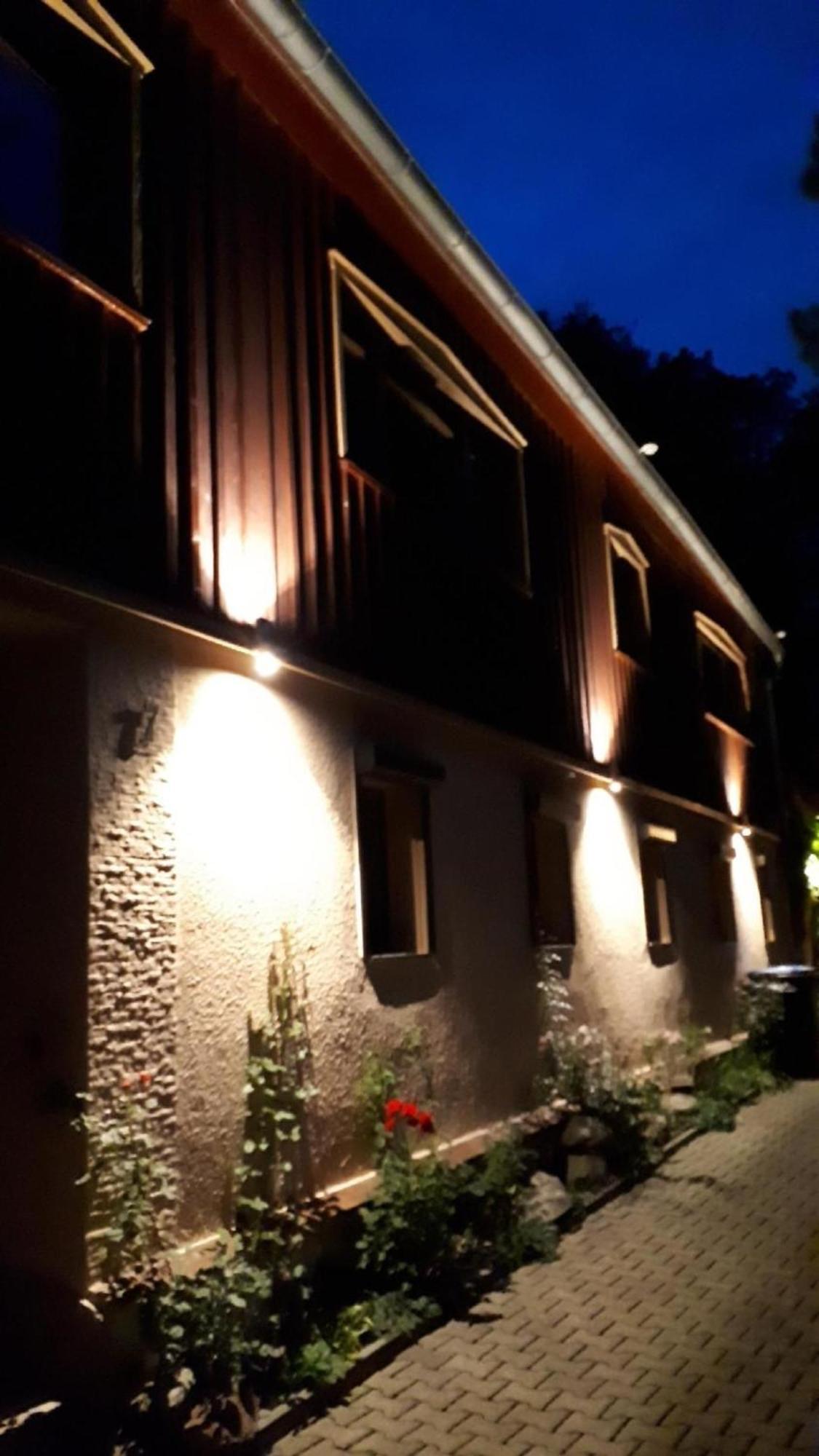 Bergnest Bungalow Bad Gottleuba-Berggiesshuebel ภายนอก รูปภาพ